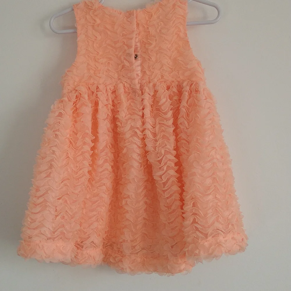 Cat & jack baby girl dress size 28 months - Picture 2 of 3